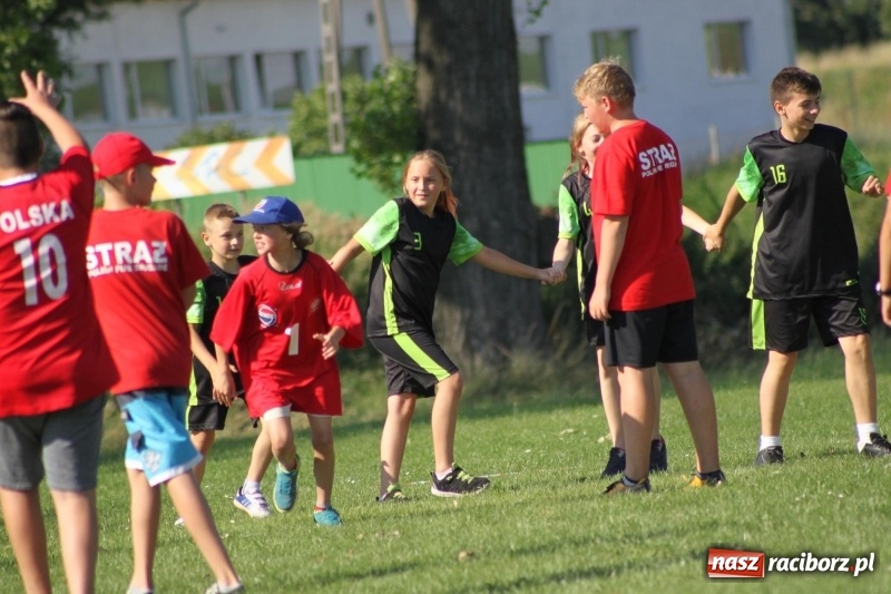 Zdjęcie w galerii na portalu naszraciborz.pl: Gmina Pietrowice Wielkie zorganizowała rozgrywki w piłce palantowej  wiadomości z regionu
