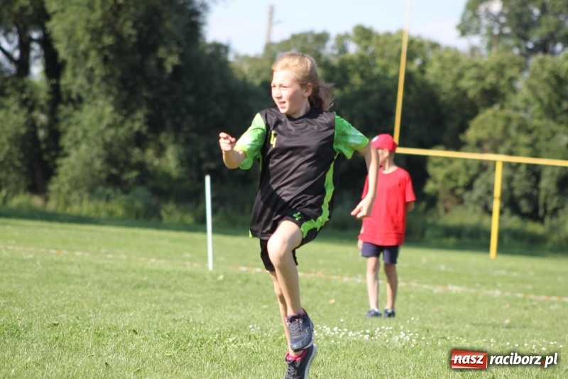 Zdjęcie w galerii na portalu naszraciborz.pl: Gmina Pietrowice Wielkie zorganizowała rozgrywki w piłce palantowej  wiadomości z regionu