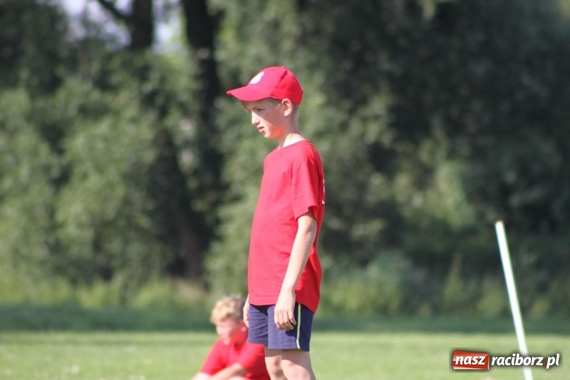 Zdjęcie w galerii na portalu naszraciborz.pl: Gmina Pietrowice Wielkie zorganizowała rozgrywki w piłce palantowej  wiadomości z regionu