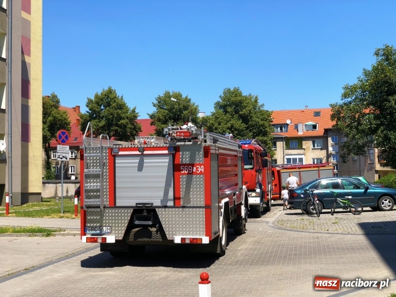 Zdjęcie w galerii na portalu naszraciborz.pl: Akcja strażaków na Opawskiej. Czujka ostrzegła lokatorkę przed zagrożeniem  wiadomości z regionu