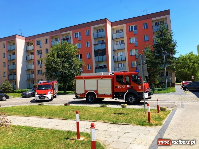 Zdjęcie w galerii na portalu naszraciborz.pl: Akcja strażaków na Opawskiej. Czujka ostrzegła lokatorkę przed zagrożeniem  wiadomości z regionu