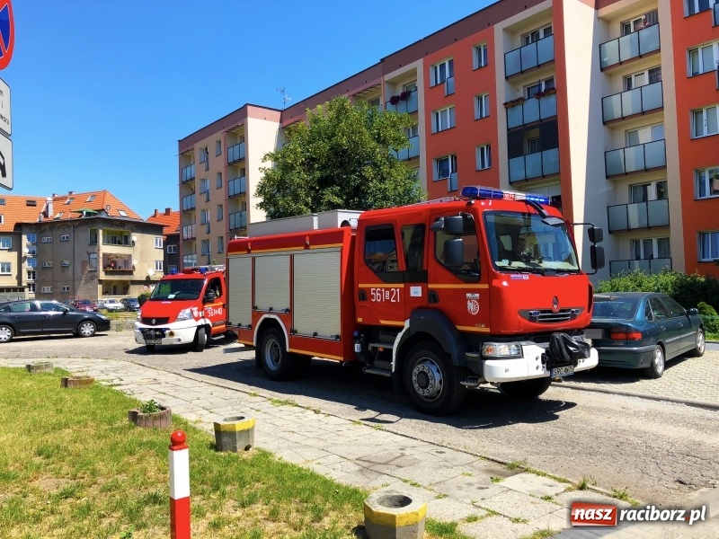 Zdjęcie w galerii na portalu naszraciborz.pl: Akcja strażaków na Opawskiej. Czujka ostrzegła lokatorkę przed zagrożeniem  wiadomości z regionu