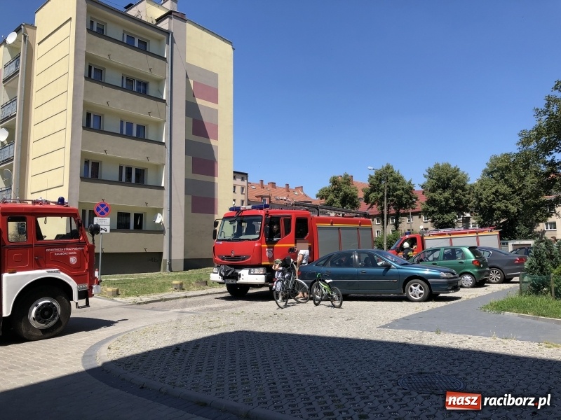 Zdjęcie w galerii na portalu naszraciborz.pl: Akcja strażaków na Opawskiej. Czujka ostrzegła lokatorkę przed zagrożeniem  wiadomości z regionu