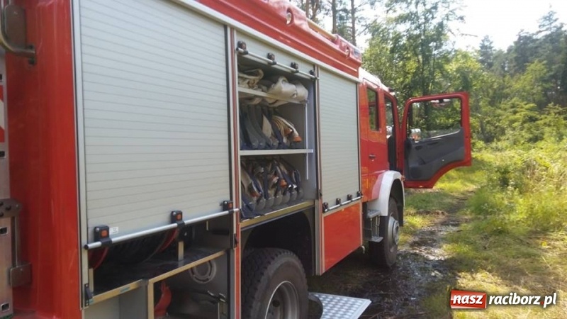 Zdjęcie w galerii na portalu naszraciborz.pl: Eksplozje niewybuchów podczas pożaru lasu w Kuźni Raciborskiej FOTO wiadomości z regionu