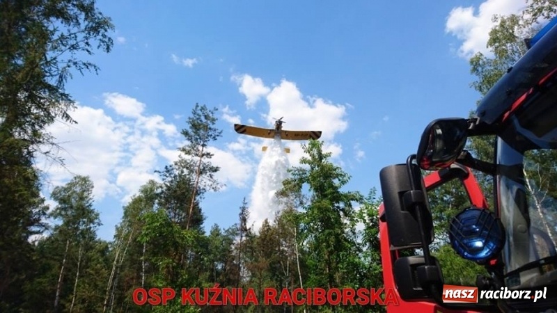 Zdjęcie w galerii na portalu naszraciborz.pl: Eksplozje niewybuchów podczas pożaru lasu w Kuźni Raciborskiej FOTO wiadomości z regionu