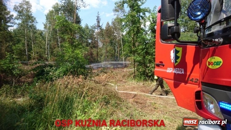Zdjęcie w galerii na portalu naszraciborz.pl: Eksplozje niewybuchów podczas pożaru lasu w Kuźni Raciborskiej FOTO wiadomości z regionu
