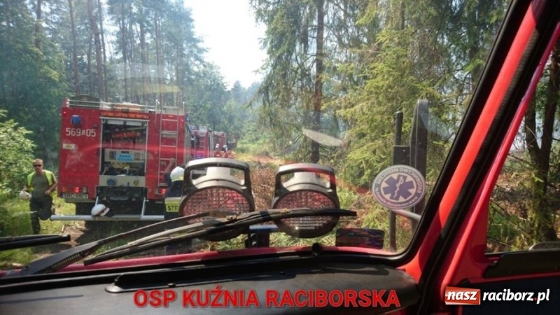 Zdjęcie w galerii na portalu naszraciborz.pl: Eksplozje niewybuchów podczas pożaru lasu w Kuźni Raciborskiej FOTO wiadomości z regionu