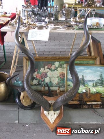 Zdjęcie w galerii na portalu naszraciborz.pl: Jak co roku w Chałupkach.. wiadomości z regionu