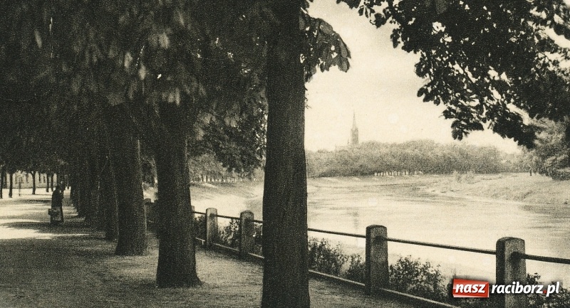 Zdjęcie w galerii na portalu naszraciborz.pl: Tak przez ponad sto lat zmieniały się raciborskie bulwary nad Odrą wiadomości z regionu