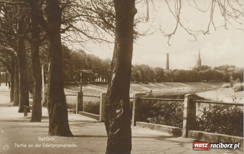 Zdjęcie w galerii na portalu naszraciborz.pl: Tak przez ponad sto lat zmieniały się raciborskie bulwary nad Odrą wiadomości z regionu