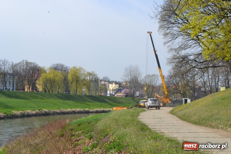 Zdjęcie w galerii na portalu naszraciborz.pl: Tak przez ponad sto lat zmieniały się raciborskie bulwary nad Odrą wiadomości z regionu