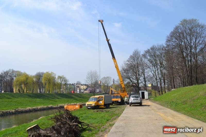 Zdjęcie w galerii na portalu naszraciborz.pl: Tak przez ponad sto lat zmieniały się raciborskie bulwary nad Odrą wiadomości z regionu