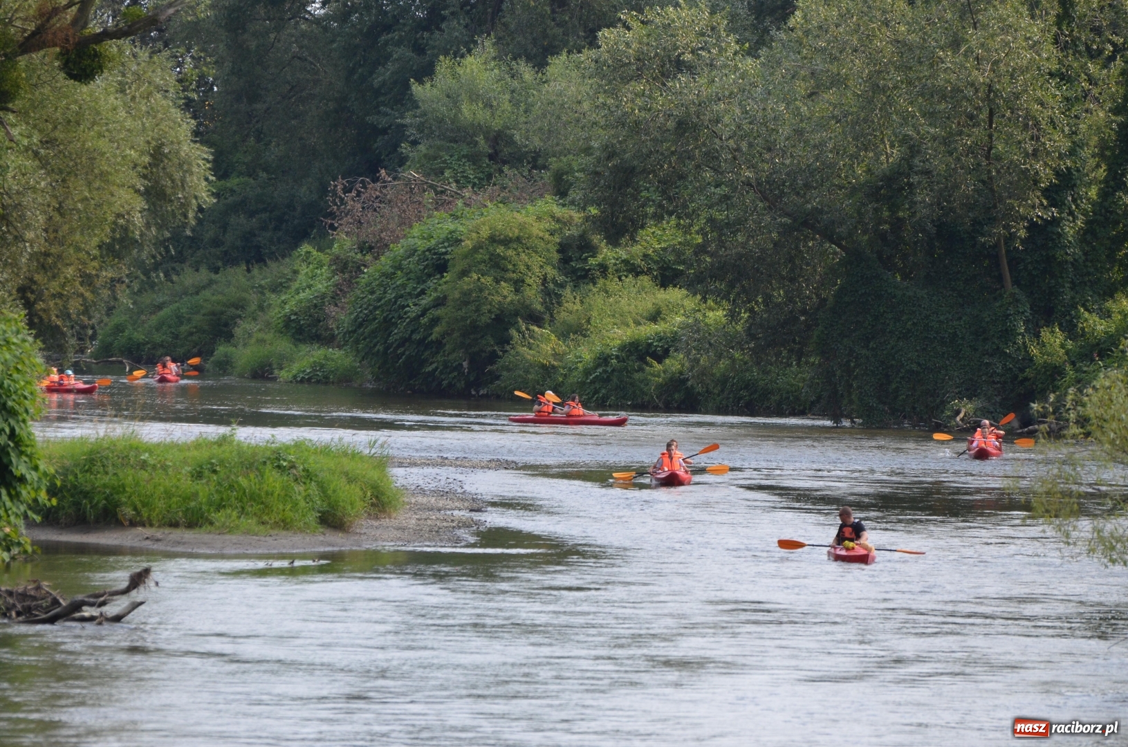 Zdjęcie w galerii na portalu naszraciborz.pl: Spływy odrzańskie cieszą się dużą popularnością  wiadomości z regionu
