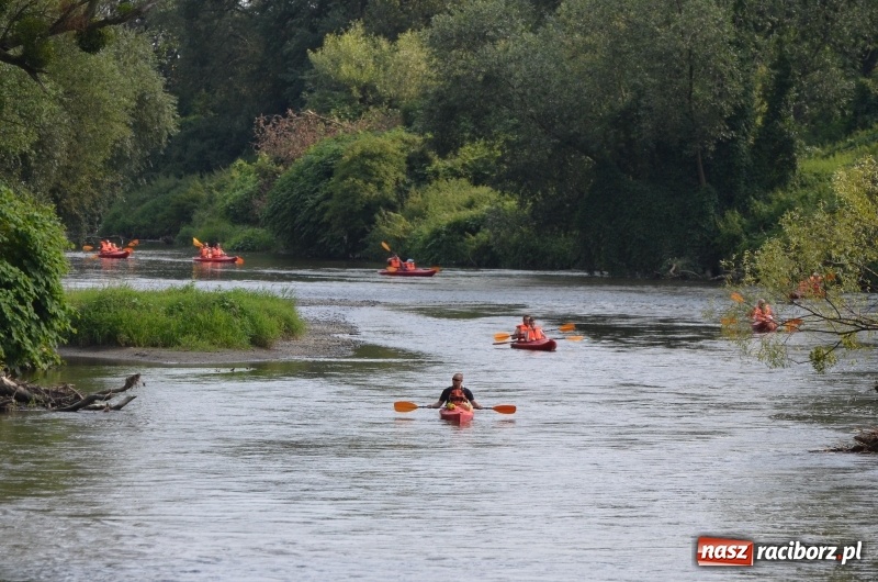 Zdjęcie w galerii na portalu naszraciborz.pl: Spływy odrzańskie cieszą się dużą popularnością  wiadomości z regionu