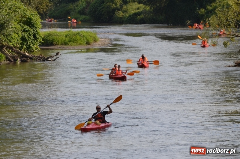 Zdjęcie w galerii na portalu naszraciborz.pl: Spływy odrzańskie cieszą się dużą popularnością  wiadomości z regionu