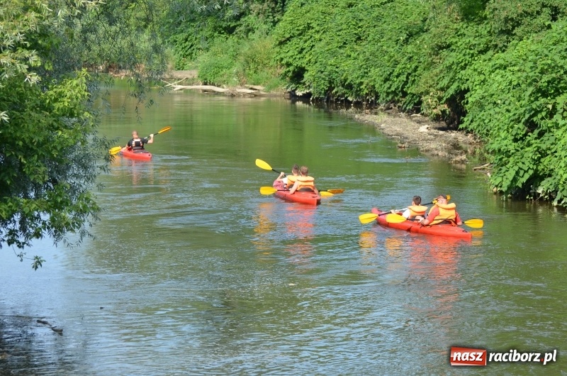 Zdjęcie w galerii na portalu naszraciborz.pl: Spływy odrzańskie cieszą się dużą popularnością  wiadomości z regionu