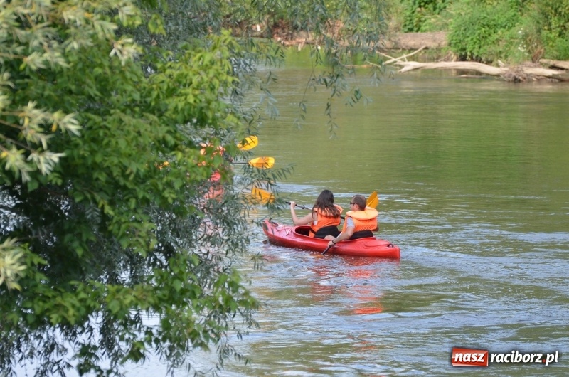 Zdjęcie w galerii na portalu naszraciborz.pl: Spływy odrzańskie cieszą się dużą popularnością  wiadomości z regionu