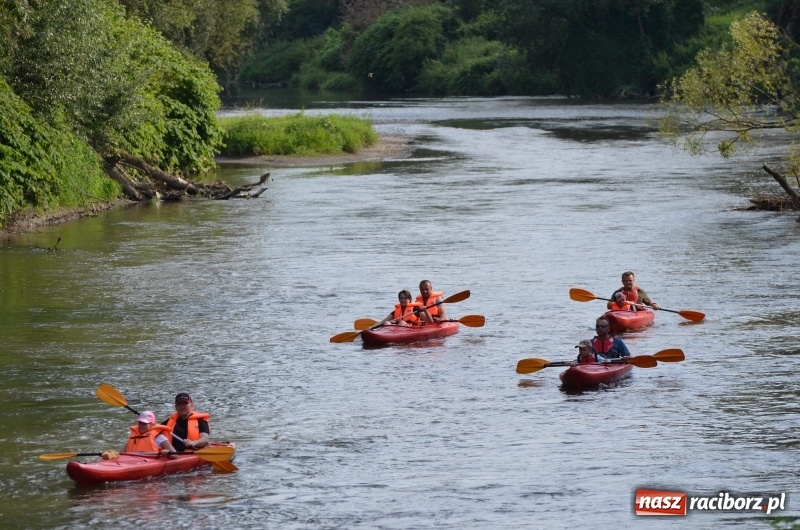 Zdjęcie w galerii na portalu naszraciborz.pl: Spływy odrzańskie cieszą się dużą popularnością  wiadomości z regionu