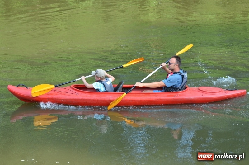 Zdjęcie w galerii na portalu naszraciborz.pl: Spływy odrzańskie cieszą się dużą popularnością  wiadomości z regionu
