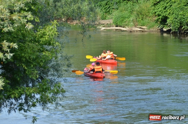 Zdjęcie w galerii na portalu naszraciborz.pl: Spływy odrzańskie cieszą się dużą popularnością  wiadomości z regionu