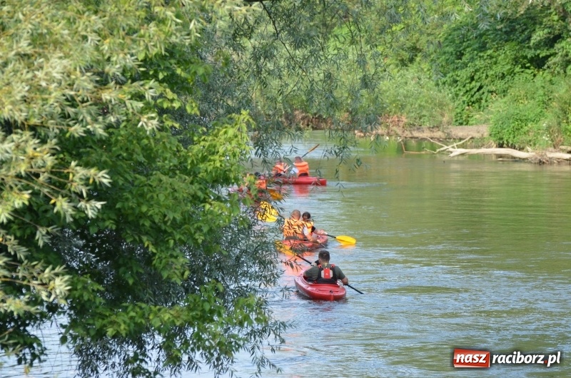 Zdjęcie w galerii na portalu naszraciborz.pl: Spływy odrzańskie cieszą się dużą popularnością  wiadomości z regionu