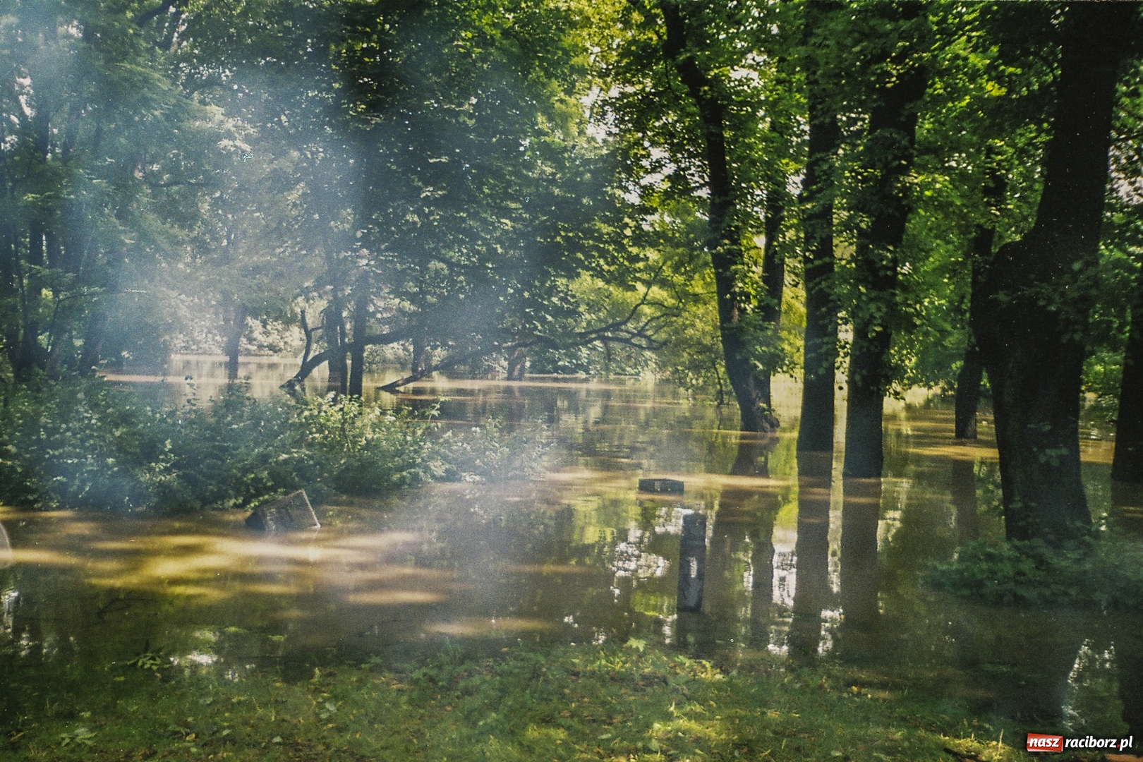 Zdjęcie w galerii na portalu naszraciborz.pl: Niepublikowane zdjęcia z powodzi w 1997 roku wiadomości z regionu