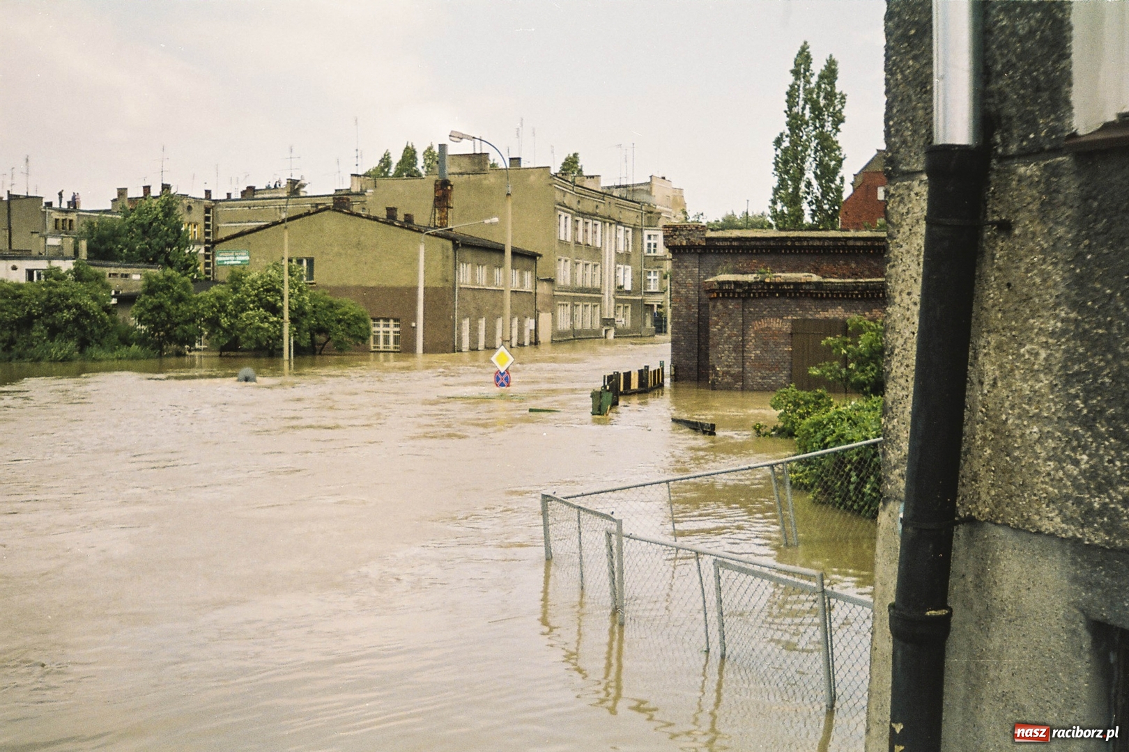 Zdjęcie w galerii na portalu naszraciborz.pl: Niepublikowane zdjęcia z powodzi w 1997 roku wiadomości z regionu