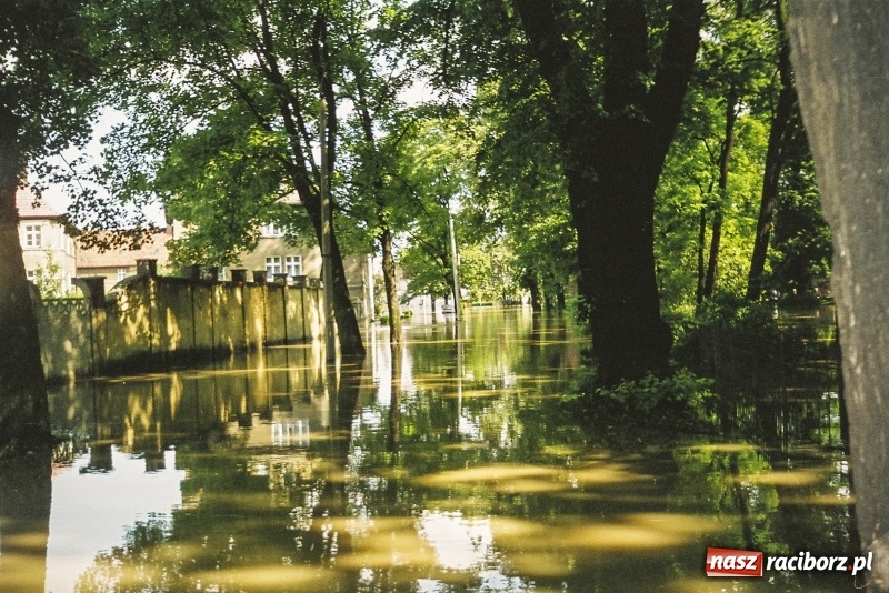 Zdjęcie w galerii na portalu naszraciborz.pl: Niepublikowane zdjęcia z powodzi w 1997 roku wiadomości z regionu