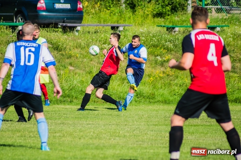 Zdjęcie w galerii na portalu naszraciborz.pl: Brzezie rozpoczęło przygotowania do nowego sezonu od remisu z Odrą Nieboczowy wiadomości z regionu