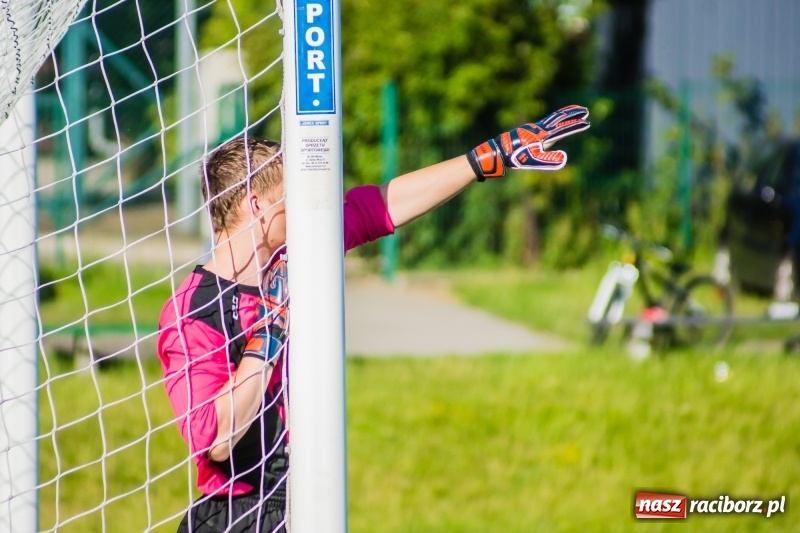 Zdjęcie w galerii na portalu naszraciborz.pl: Brzezie rozpoczęło przygotowania do nowego sezonu od remisu z Odrą Nieboczowy wiadomości z regionu