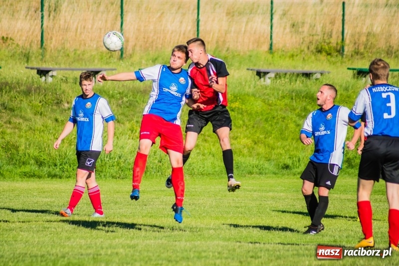 Zdjęcie w galerii na portalu naszraciborz.pl: Brzezie rozpoczęło przygotowania do nowego sezonu od remisu z Odrą Nieboczowy wiadomości z regionu