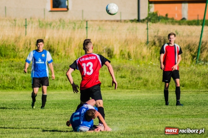 Zdjęcie w galerii na portalu naszraciborz.pl: Brzezie rozpoczęło przygotowania do nowego sezonu od remisu z Odrą Nieboczowy wiadomości z regionu