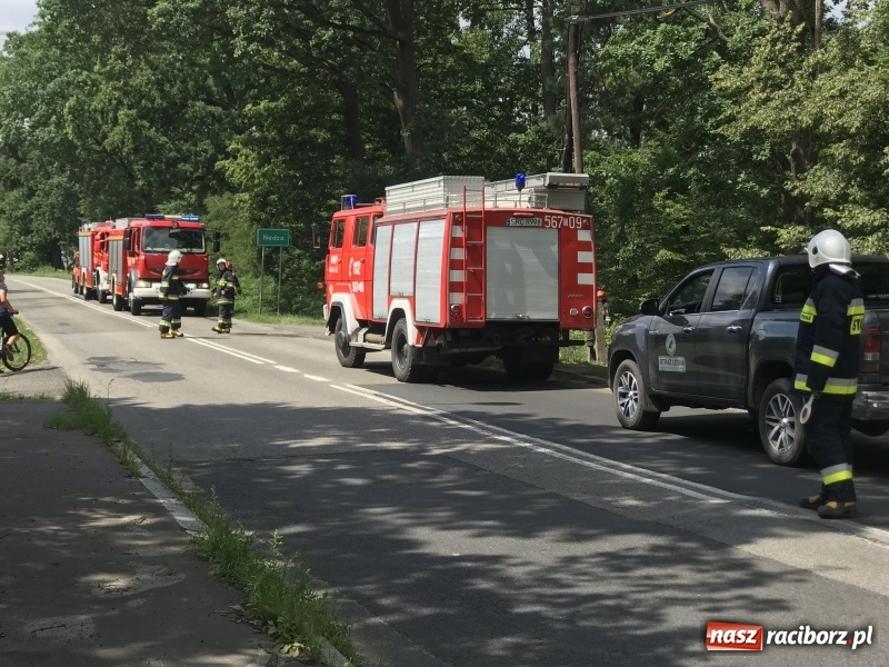 Zdjęcie w galerii na portalu naszraciborz.pl: Pożar lasu w Szymocicach. Kolejne podpalenie  wiadomości z regionu