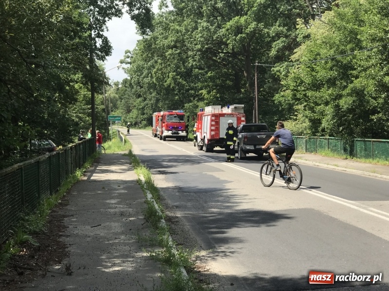 Zdjęcie w galerii na portalu naszraciborz.pl: Pożar lasu w Szymocicach. Kolejne podpalenie  wiadomości z regionu