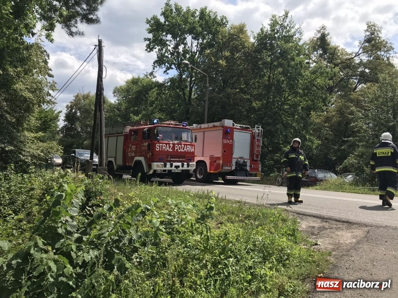 Zdjęcie w galerii na portalu naszraciborz.pl: Pożar lasu w Szymocicach. Kolejne podpalenie  wiadomości z regionu