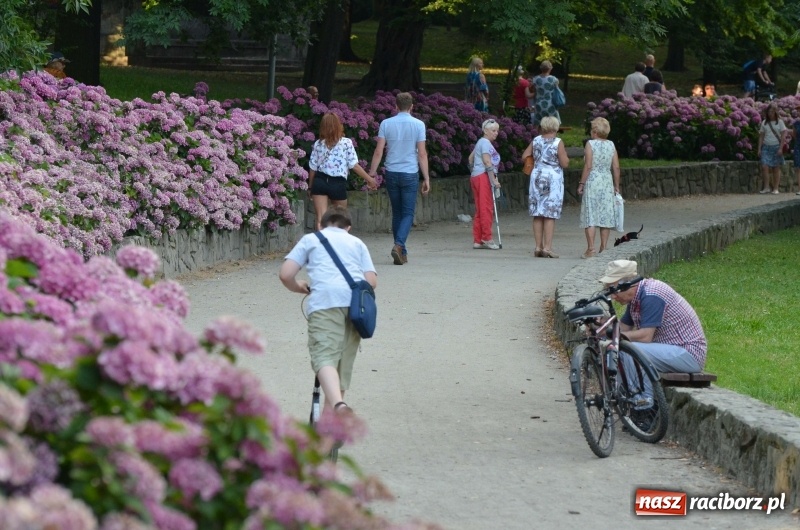 Zdjęcie w galerii na portalu naszraciborz.pl: Letnie muzykowanie z Saksoholikami  wiadomości z regionu