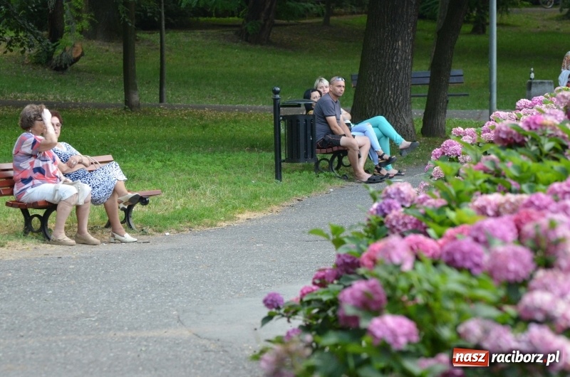 Zdjęcie w galerii na portalu naszraciborz.pl: Letnie muzykowanie z Saksoholikami  wiadomości z regionu