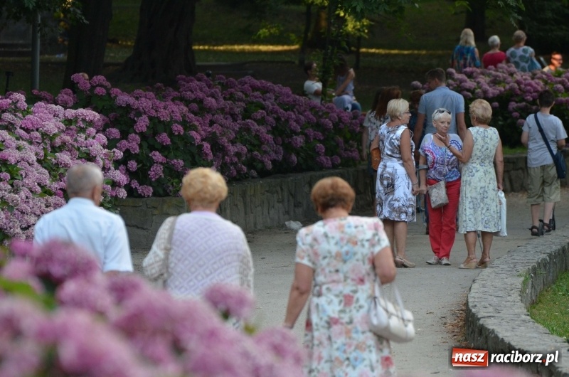 Zdjęcie w galerii na portalu naszraciborz.pl: Letnie muzykowanie z Saksoholikami  wiadomości z regionu