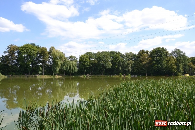Zdjęcie w galerii na portalu naszraciborz.pl: Zawody Wędkarskie o Puchar Wójta Gminy Krzyżanowice wiadomości z regionu