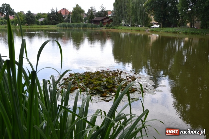 Zdjęcie w galerii na portalu naszraciborz.pl: Zawody Wędkarskie o Puchar Wójta Gminy Krzyżanowice wiadomości z regionu