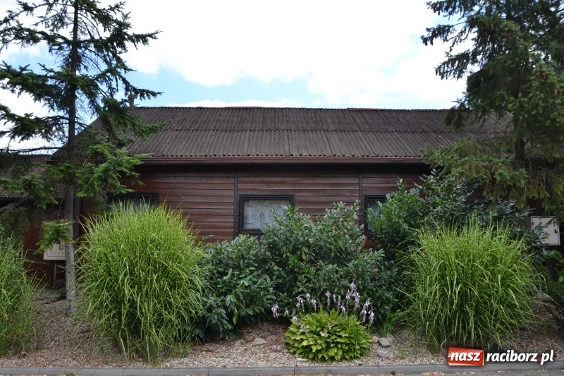 Zdjęcie w galerii na portalu naszraciborz.pl: Zawody Wędkarskie o Puchar Wójta Gminy Krzyżanowice wiadomości z regionu