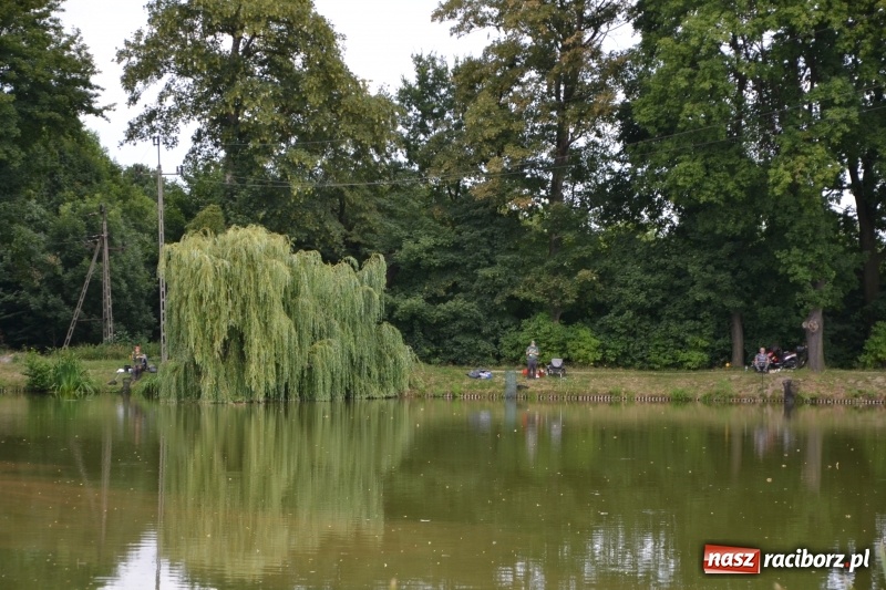 Zdjęcie w galerii na portalu naszraciborz.pl: Zawody Wędkarskie o Puchar Wójta Gminy Krzyżanowice wiadomości z regionu