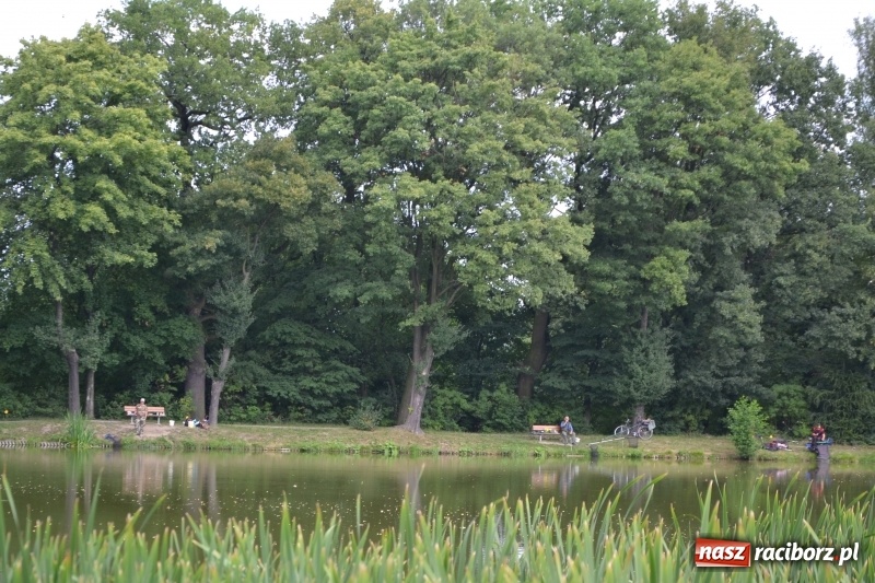 Zdjęcie w galerii na portalu naszraciborz.pl: Zawody Wędkarskie o Puchar Wójta Gminy Krzyżanowice wiadomości z regionu