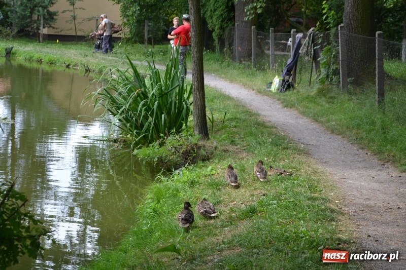 Zdjęcie w galerii na portalu naszraciborz.pl: Zawody Wędkarskie o Puchar Wójta Gminy Krzyżanowice wiadomości z regionu