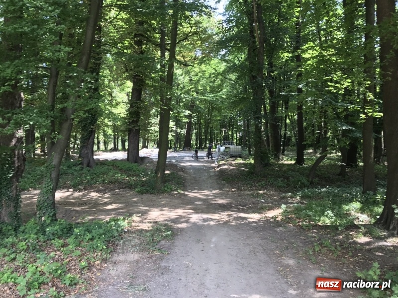 Zdjęcie w galerii na portalu naszraciborz.pl: Trwają prace przy częściowej odbudowie zamku w Tworkowie wiadomości z regionu