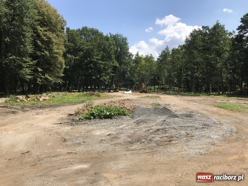 Zdjęcie w galerii na portalu naszraciborz.pl: Trwają prace przy częściowej odbudowie zamku w Tworkowie wiadomości z regionu