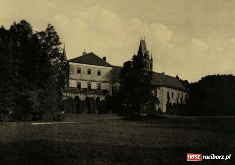 Zdjęcie w galerii na portalu naszraciborz.pl: Trwają prace przy częściowej odbudowie zamku w Tworkowie wiadomości z regionu