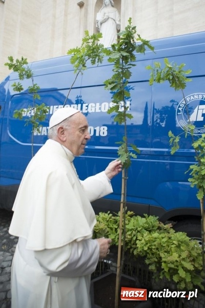Zdjęcie w galerii na portalu naszraciborz.pl: Franciszki czyli Dęby Niepodległości. Papież poświęcił sadzonki ze szkółki w Nędzy wiadomości z regionu