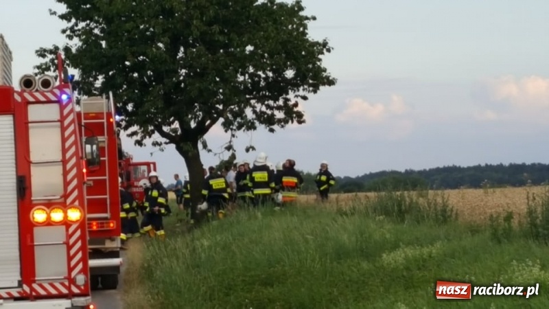 Zdjęcie w galerii na portalu naszraciborz.pl: Pogranicze w ogniu. Dwa pożary zboża na pniu pomiędzy Tworkowem a Hacią  wiadomości z regionu