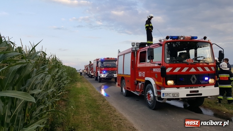 Zdjęcie w galerii na portalu naszraciborz.pl: Pogranicze w ogniu. Dwa pożary zboża na pniu pomiędzy Tworkowem a Hacią  wiadomości z regionu